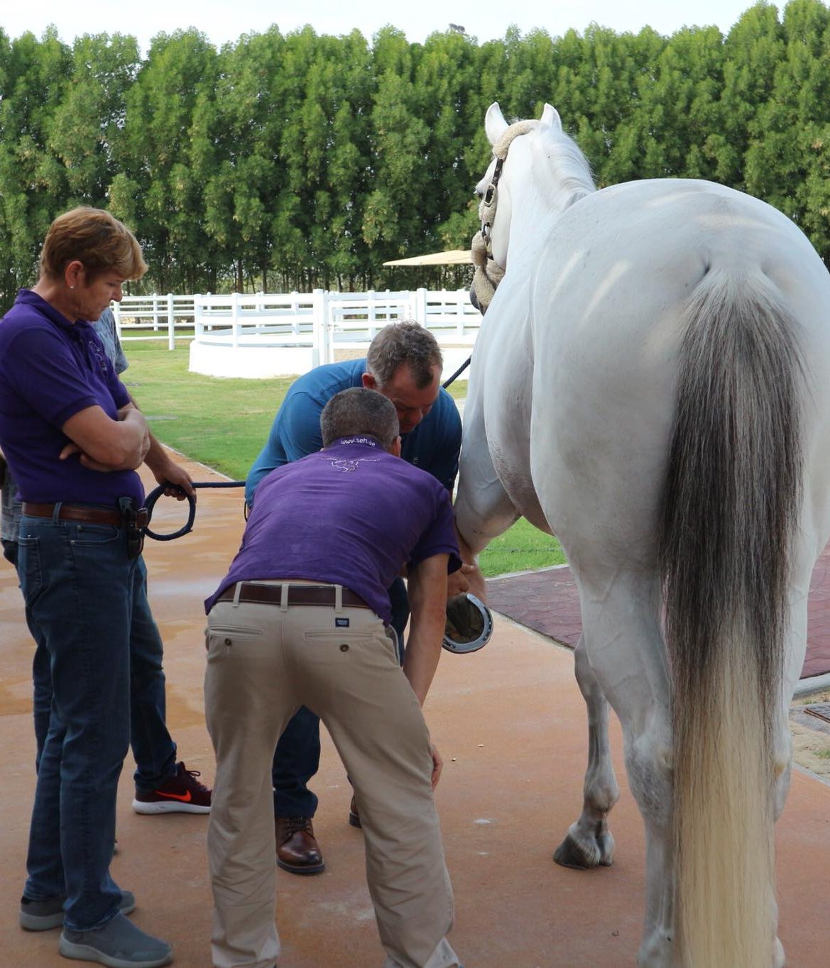 27797608_1772274726169683_9199253469756310001_o-1169x1364